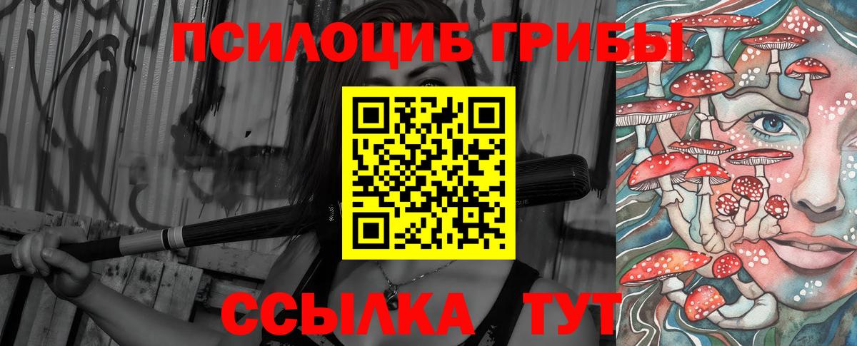 Псилоцибиновые грибы GOLDEN TEACHER  Вход с VPN  Заринск  Галлюциногенные грибы Magic Shrooms 